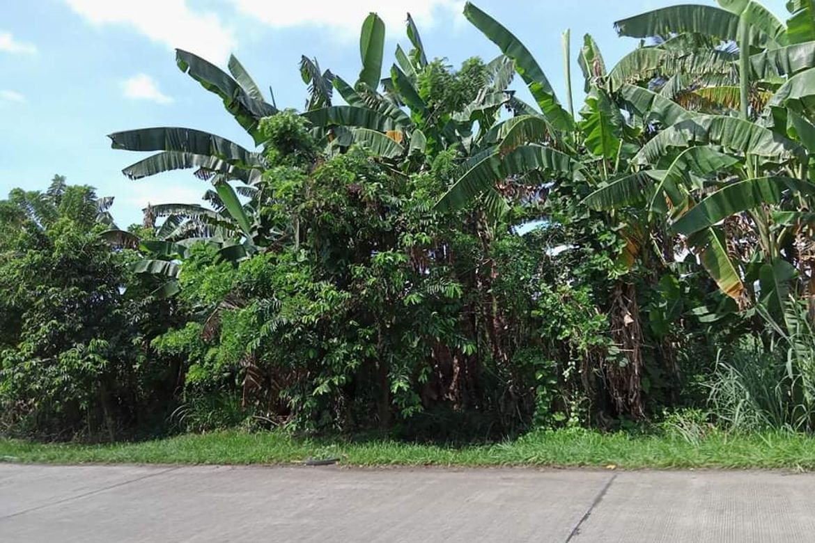 Land for Sale in Mahabangkahoy Lejos, Indang, Cavite