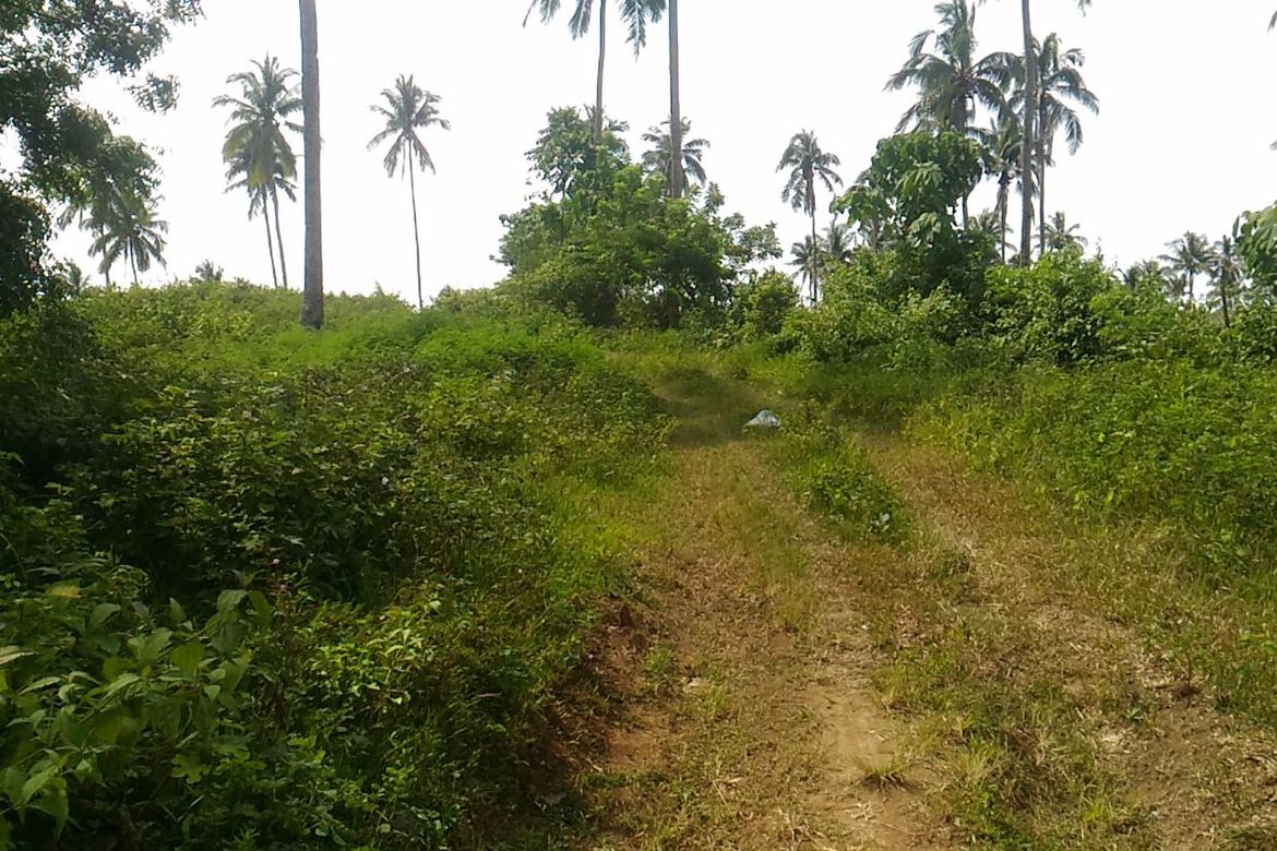 Land for Sale in Mahabangkahoy Lejos, Indang, Cavite – photo 2