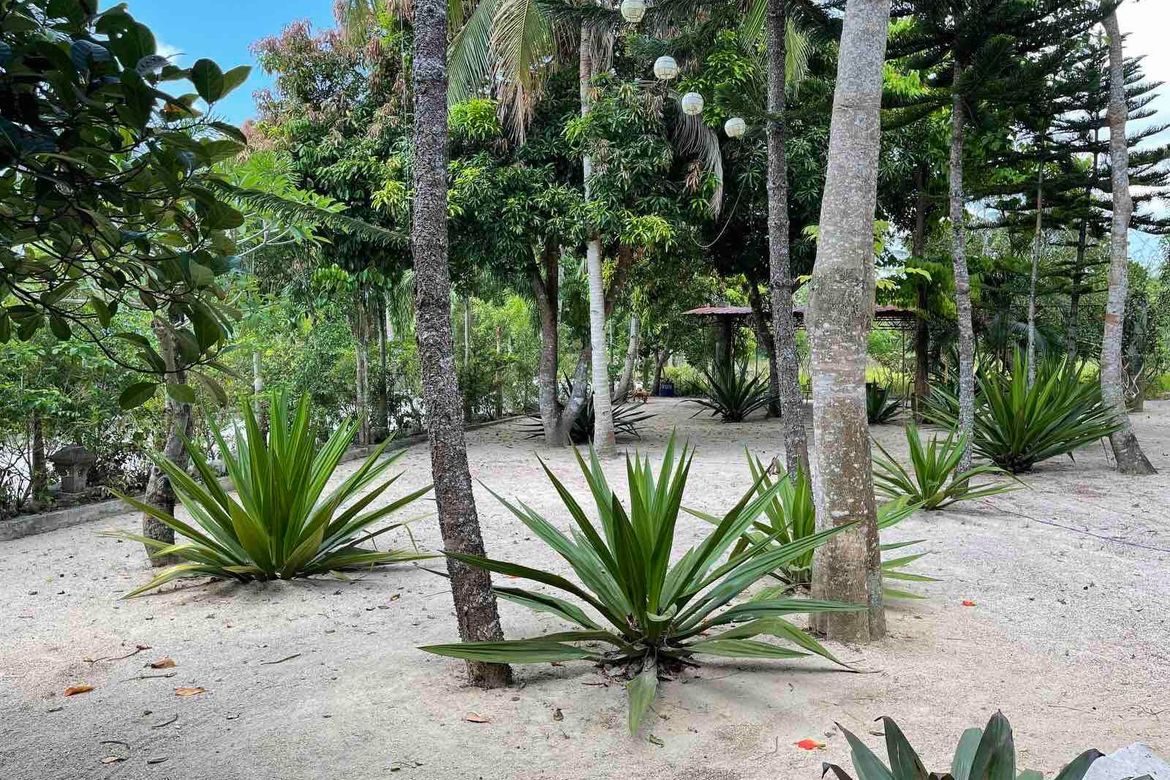 Land for Sale in Maharlika East, Tagaytay, Cavite – photo 2