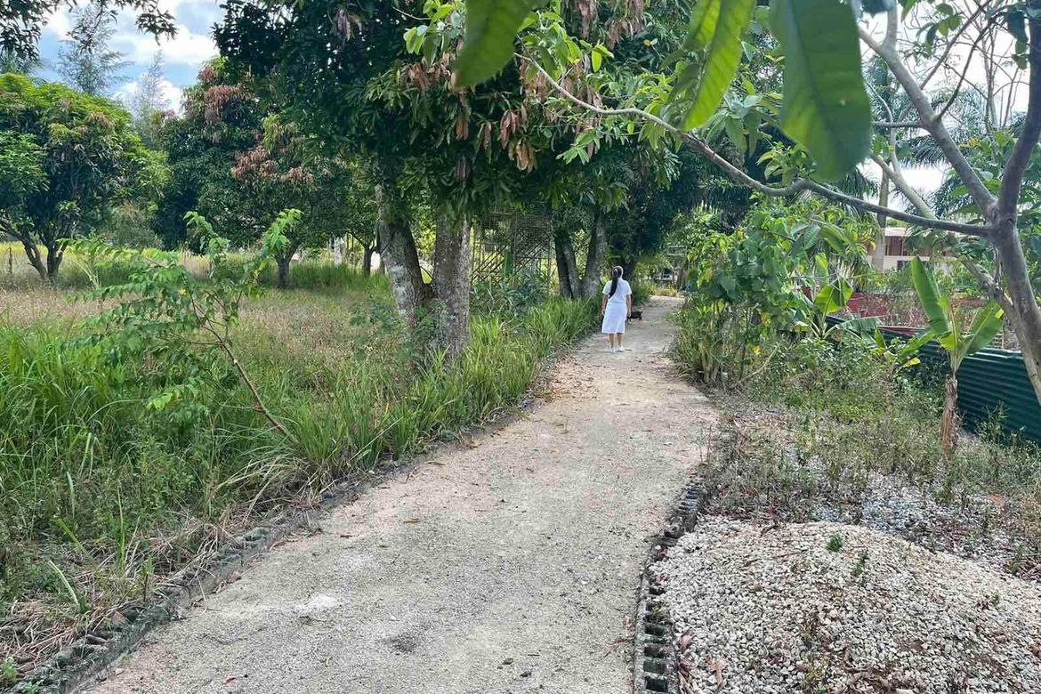 Land for Sale in Maharlika East, Tagaytay, Cavite – photo 3