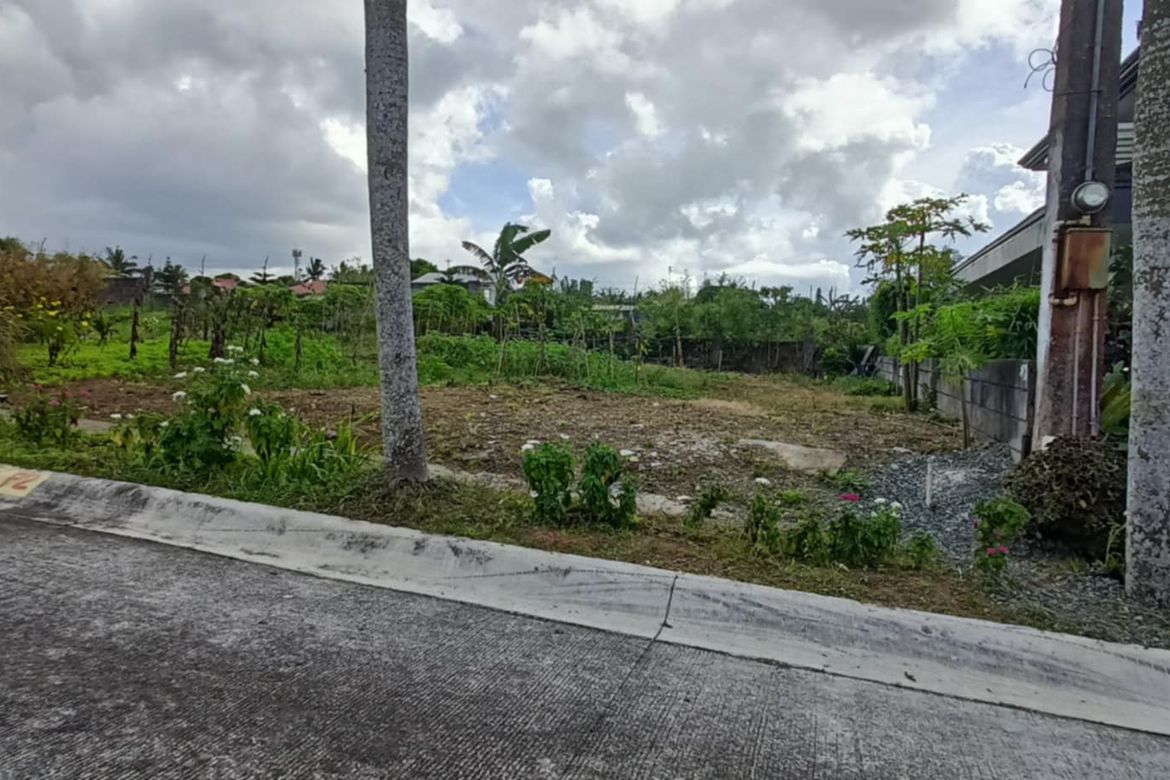 Land for Sale in Maharlika East, Tagaytay, Cavite – photo 2