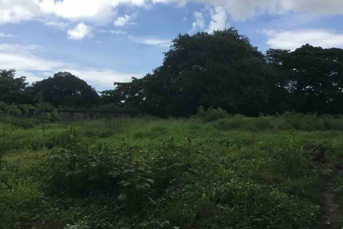 Land for Sale in Maharlika, Quezon City, Metro Manila – photo 4