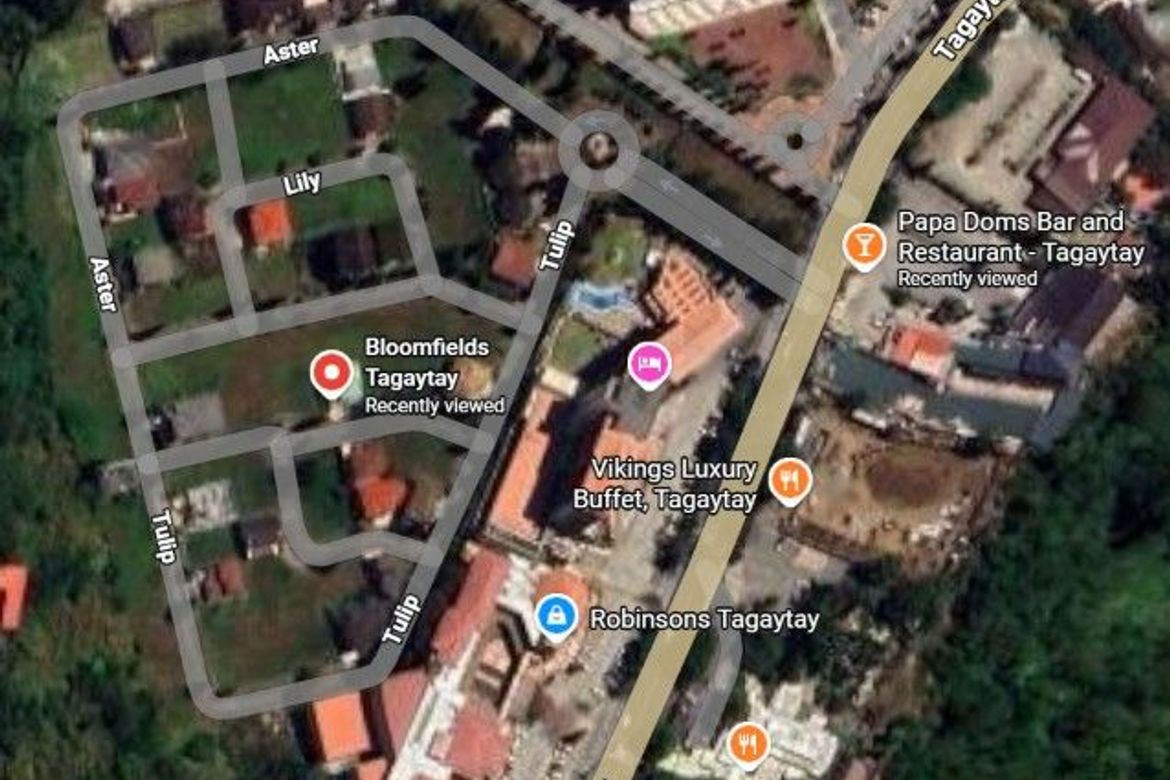 Land for Sale in Maharlika West, Tagaytay, Cavite – photo 4