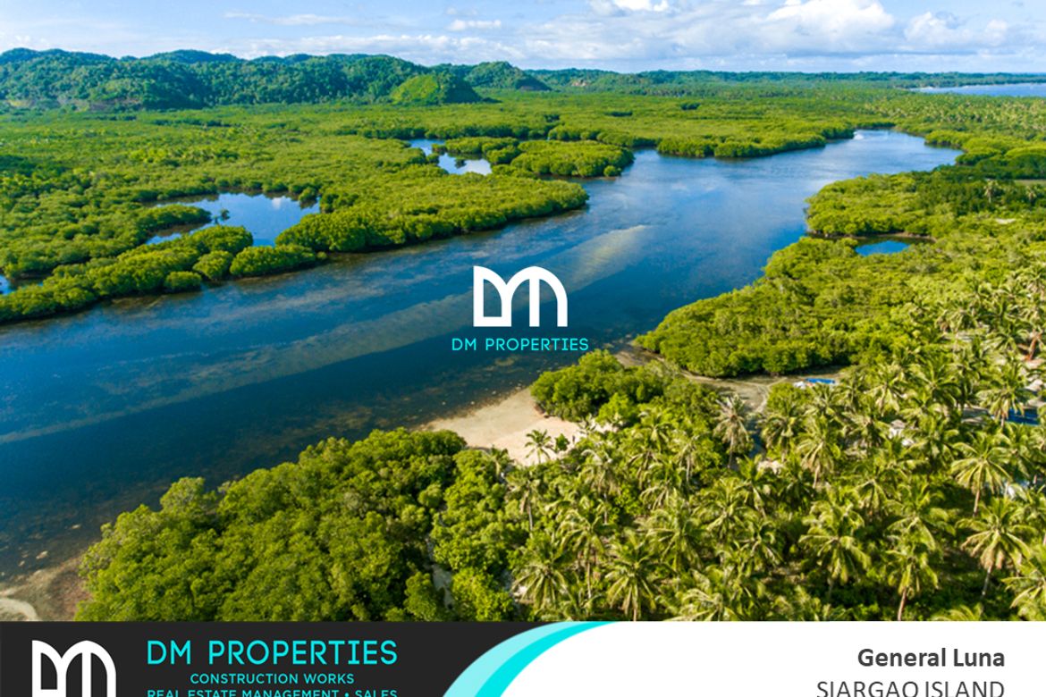 Land for Sale in Mahayahay, Del Carmen, Surigao del Norte – photo 4
