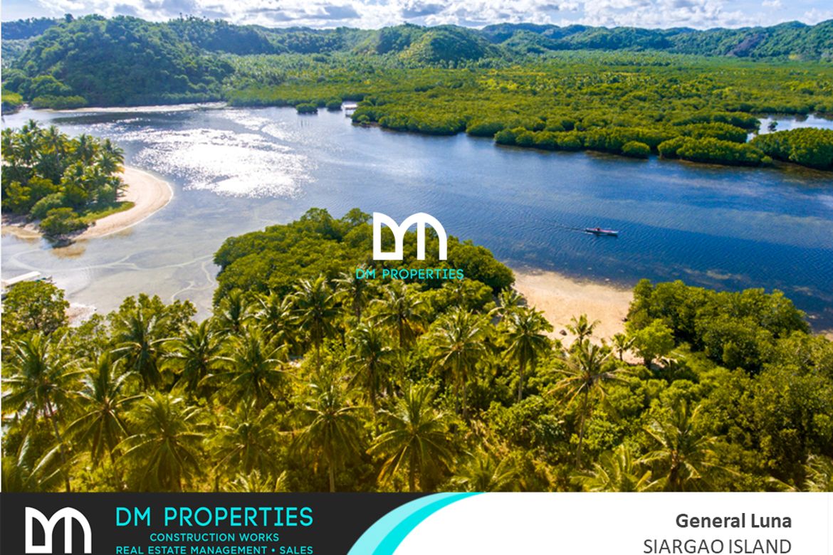 Land for Sale in Mahayahay, Del Carmen, Surigao del Norte – photo 5