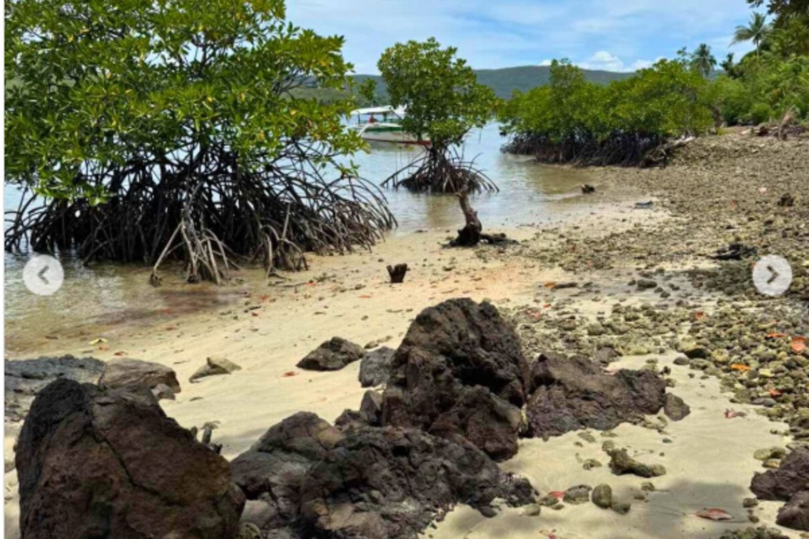 Land for Sale in Mahayahay, Del Carmen, Surigao del Norte – photo 4