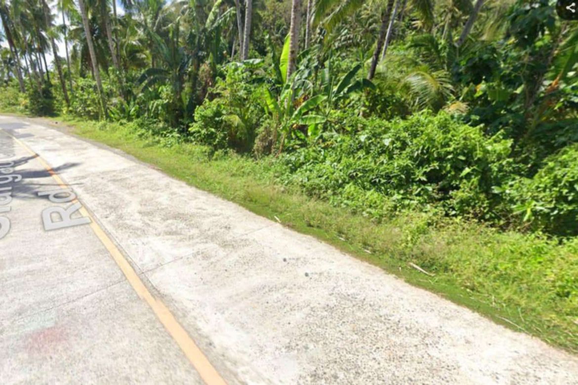 Land for Sale in Mahayahay, Del Carmen, Surigao del Norte – photo 3