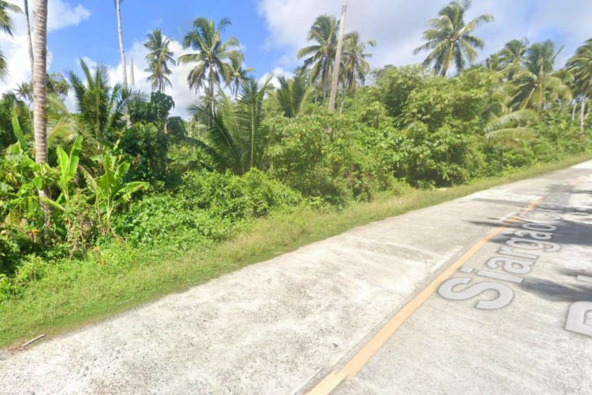 Land for Sale in Mahayahay, Del Carmen, Surigao del Norte – photo 5