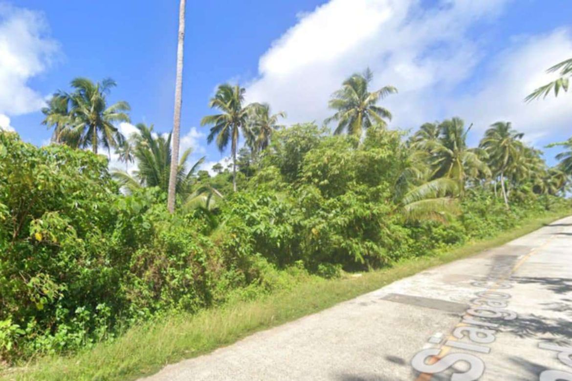 Land for Sale in Mahayahay, Del Carmen, Surigao del Norte – photo 6