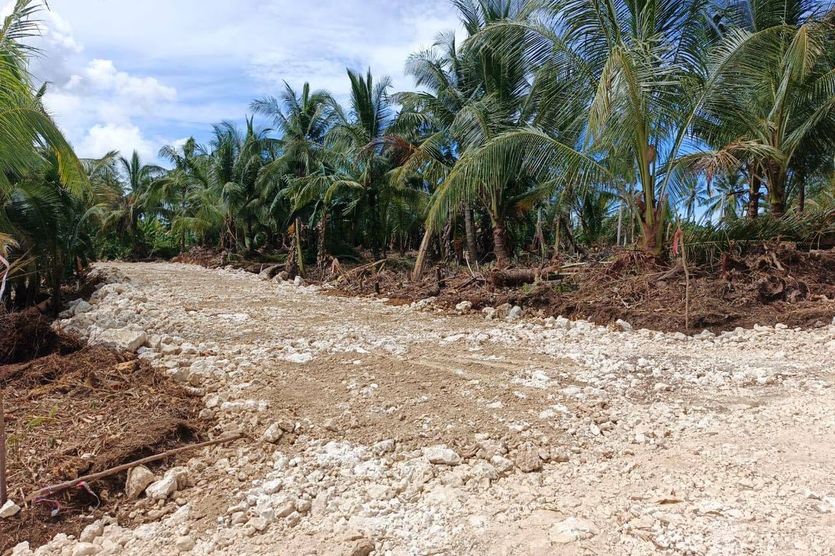 Land for Sale in Mahayahay, Del Carmen, Surigao del Norte – photo 2