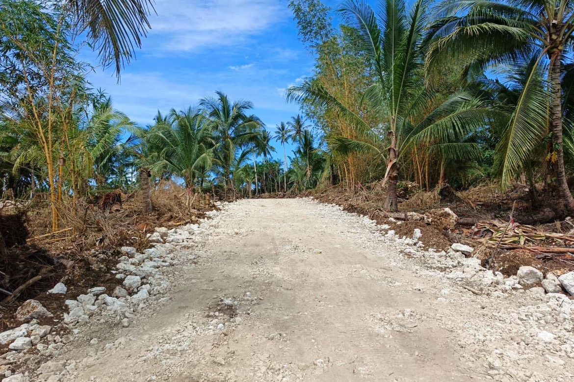 Land for Sale in Mahayahay, Del Carmen, Surigao del Norte – photo 5