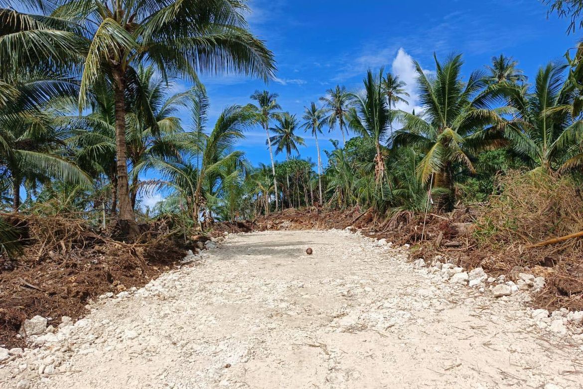 Land for Sale in Mahayahay, Del Carmen, Surigao del Norte – photo 6