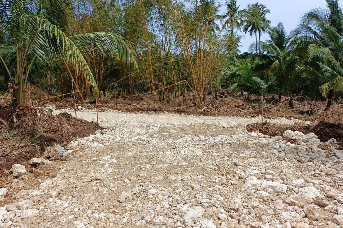 Land for Sale in Mahayahay, Del Carmen, Surigao del Norte – photo 8