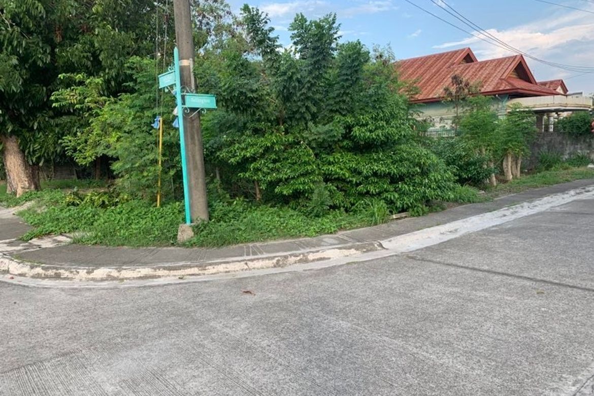 Land for Sale in Maimpis, San Fernando, Pampanga – photo 3