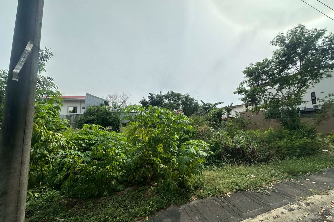 Land for Sale in Maimpis, San Fernando, Pampanga – photo 2