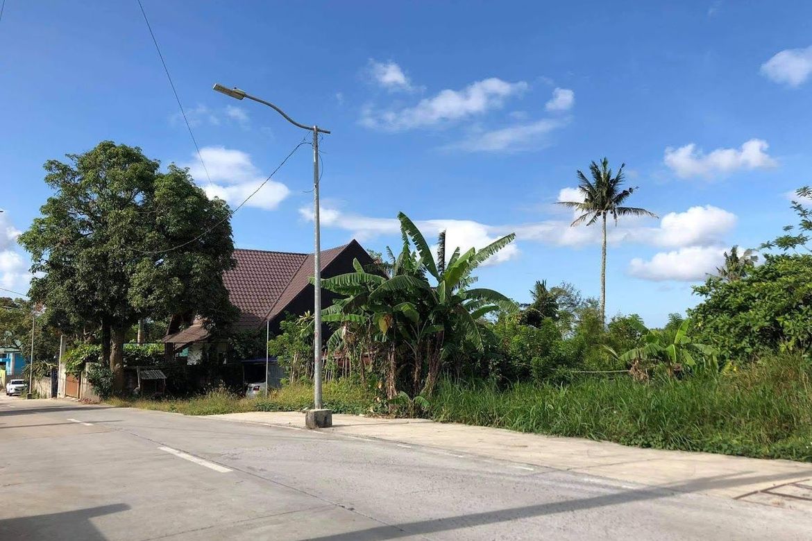 Land for Sale in Maitim 2nd Central, Tagaytay, Cavite – photo 3