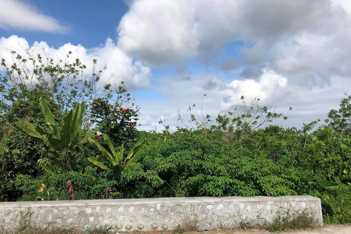 Land for Sale in Maitim 2nd Central, Tagaytay, Cavite – photo 4