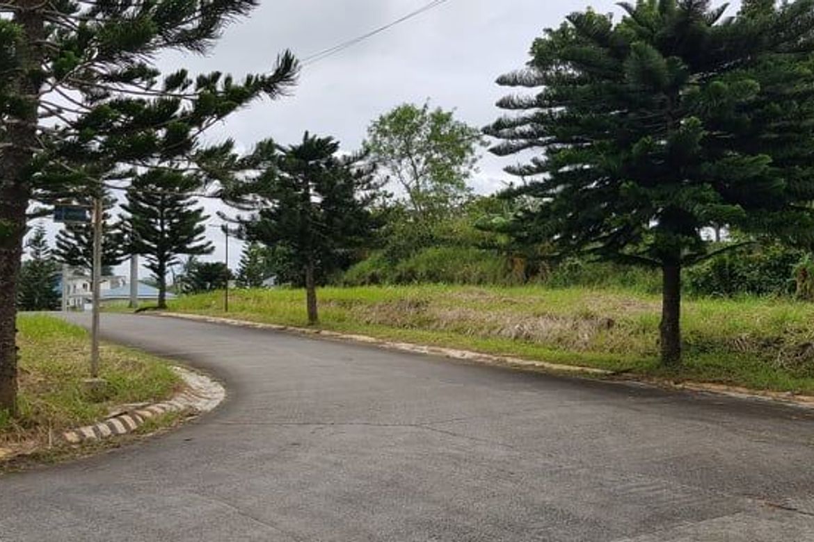 Land for Sale in Maitim 2nd Central, Tagaytay, Cavite – photo 7
