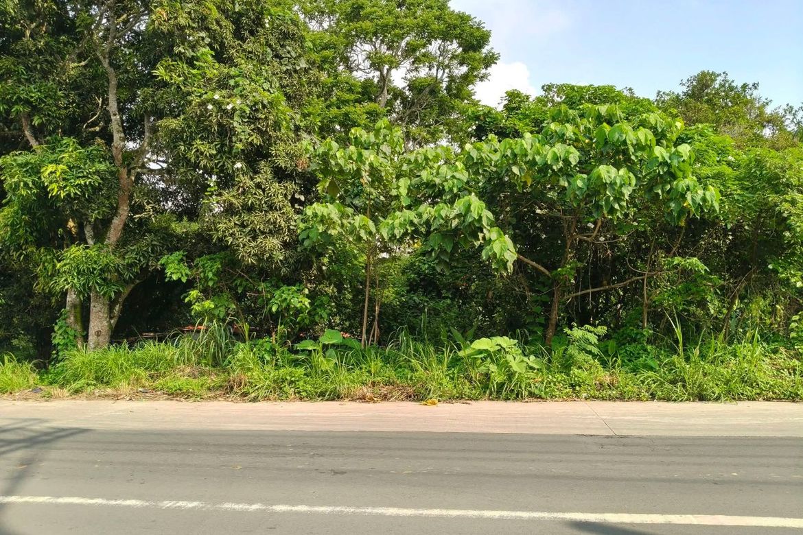 Land for Sale in Maitim 2nd East, Tagaytay, Cavite – photo 5