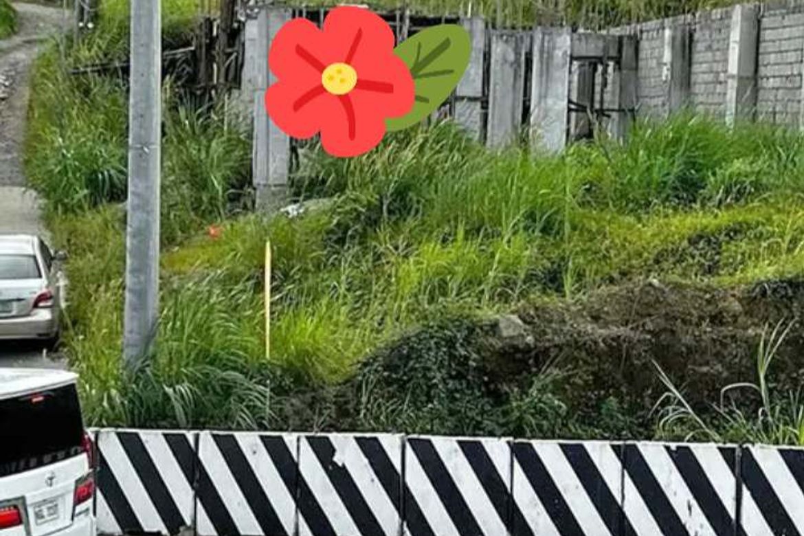 Land for Sale in Maitim 2nd East, Tagaytay, Cavite – photo 5