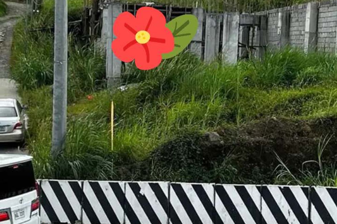 Land for Sale in Maitim 2nd East, Tagaytay, Cavite – photo 2