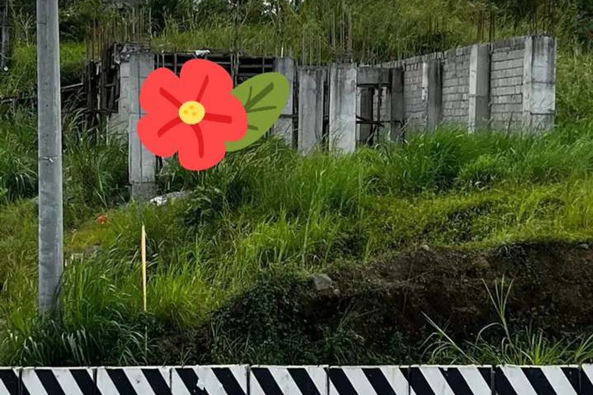 Land for Sale in Maitim 2nd East, Tagaytay, Cavite – photo 3