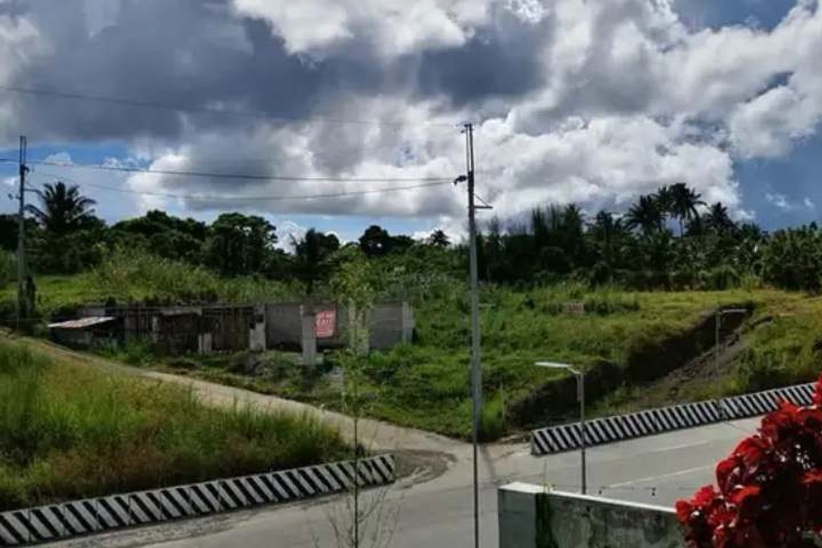 Land for Sale in Maitim 2nd East, Tagaytay, Cavite – photo 4