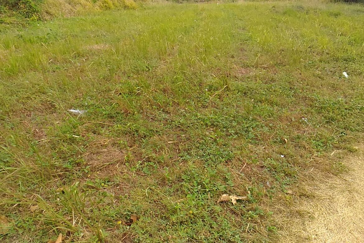 Land for Sale in Maitim 2nd East, Tagaytay, Cavite