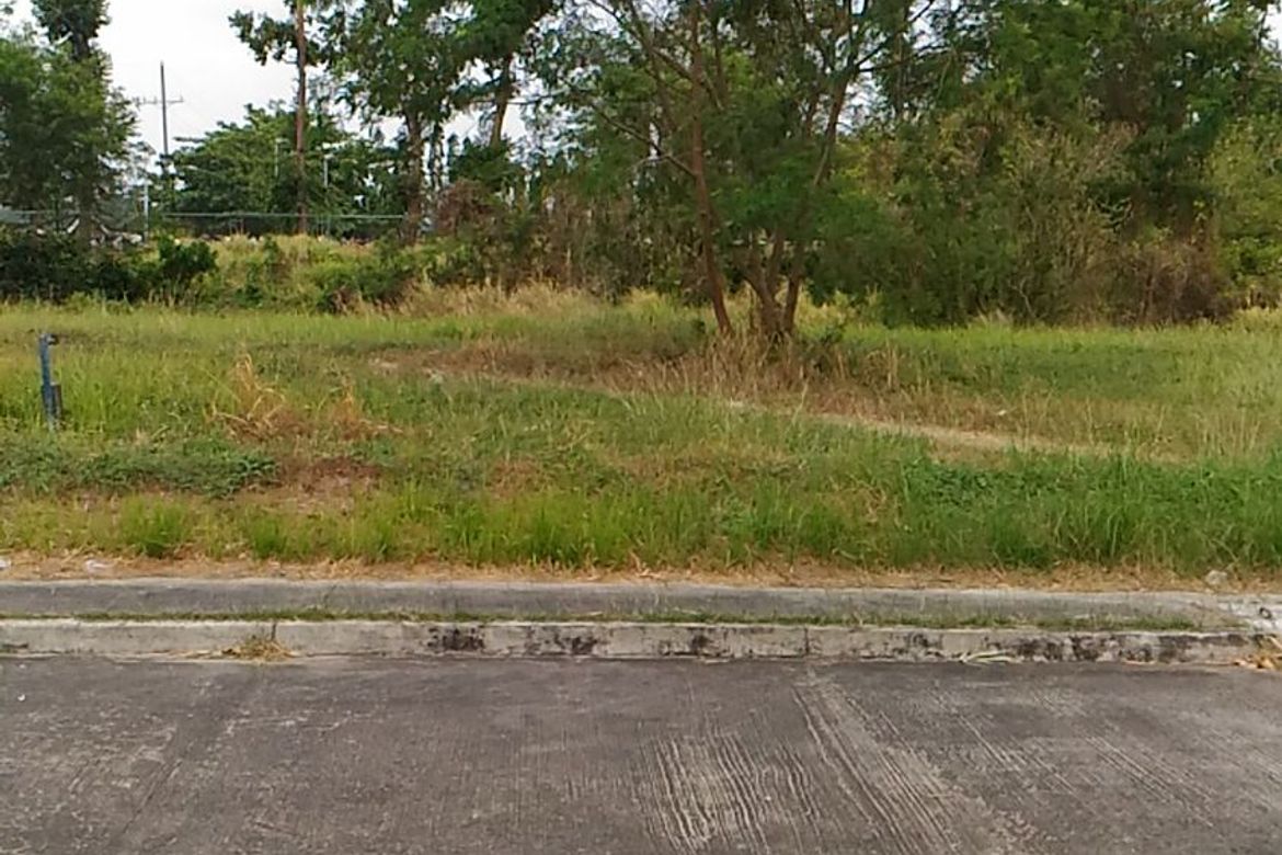 Land for Sale in Maitim 2nd East, Tagaytay, Cavite – photo 3