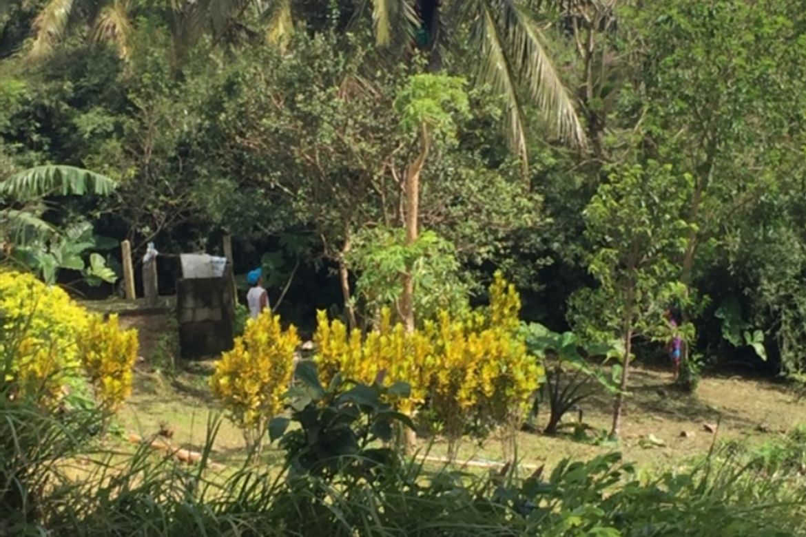 Land for Sale in Maitim 2nd East, Tagaytay, Cavite – photo 2