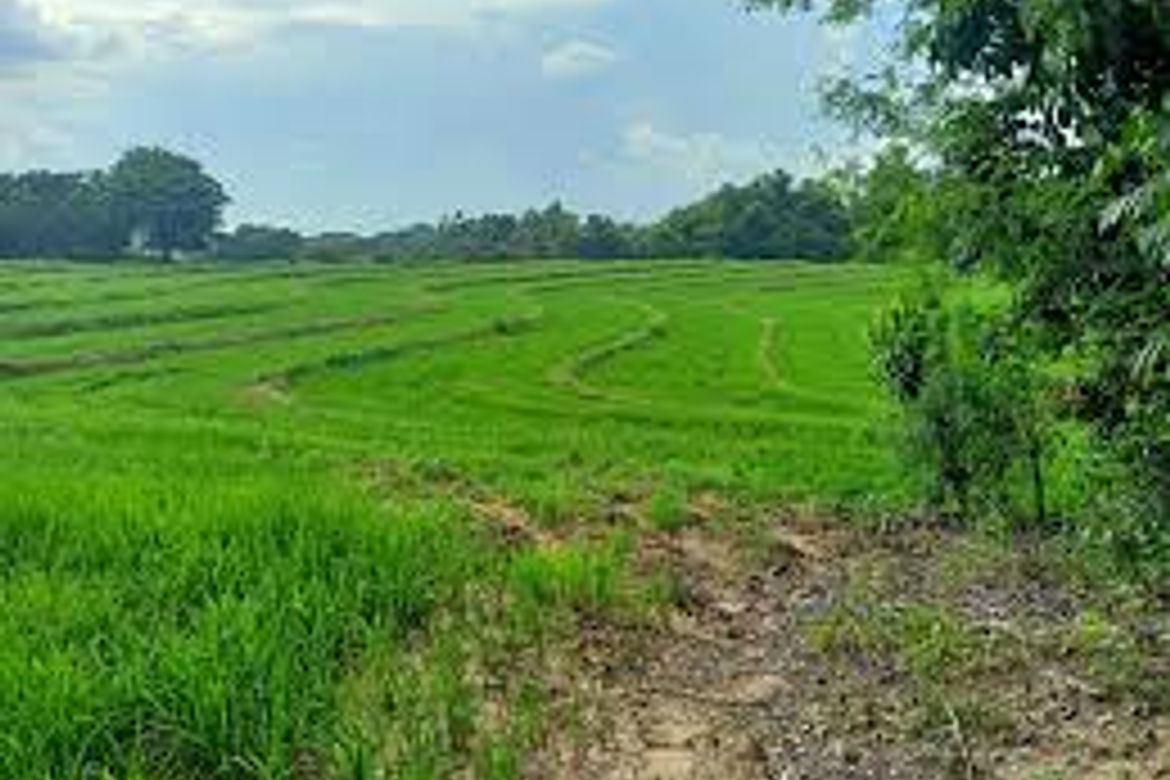 Land for Sale in Makapilapil, San Ildefonso, Bulacan – photo 2