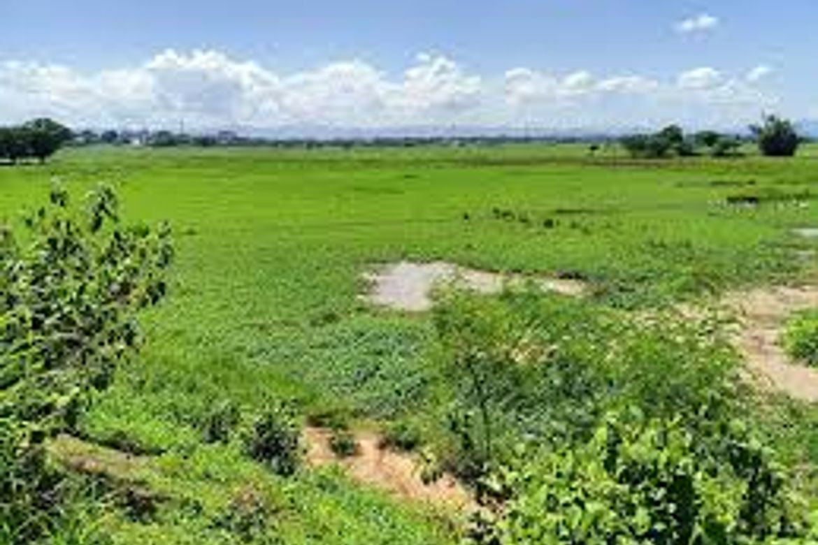 Land for Sale in Makapilapil, San Ildefonso, Bulacan – photo 4