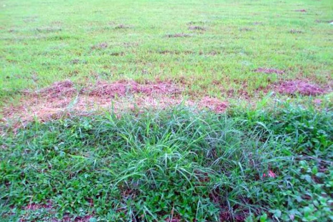 Land for Sale in Makati, Metro Manila – photo 5