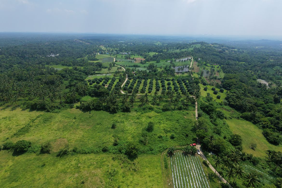 Land for Sale in Makina, Calaca, Batangas