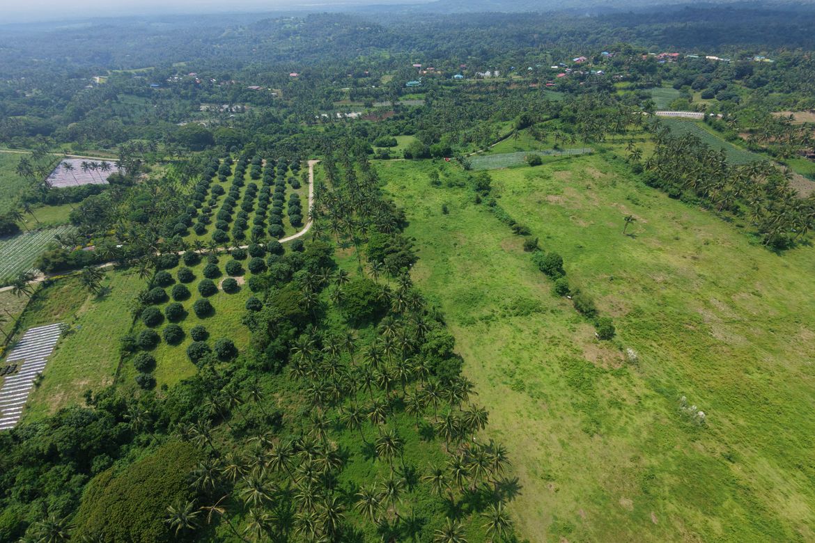 Land for Sale in Makina, Calaca, Batangas – photo 2