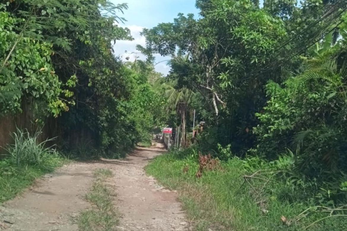 Land for Sale in Malabag, Silang, Cavite – photo 4