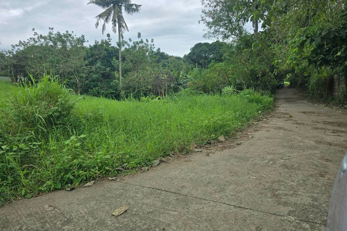 Land for Sale in Malabag, Silang, Cavite