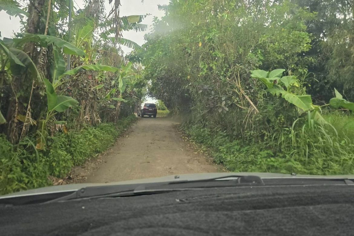 Land for Sale in Malabag, Silang, Cavite – photo 5