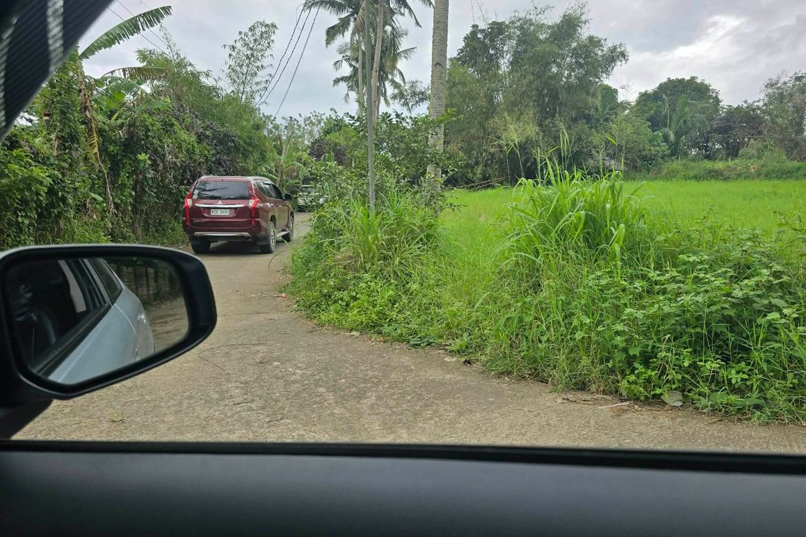Land for Sale in Malabag, Silang, Cavite – photo 6