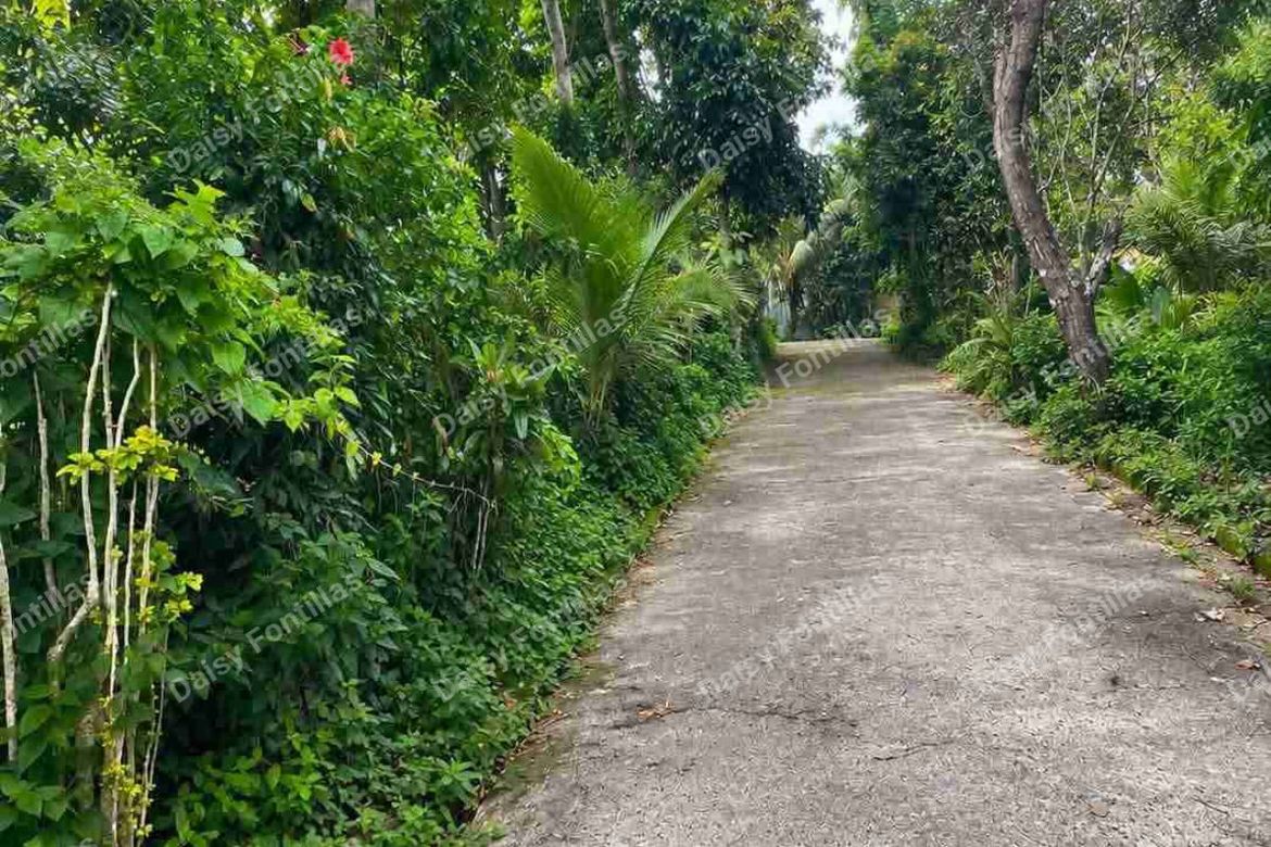 Land for Sale in Malabag, Silang, Cavite – photo 4