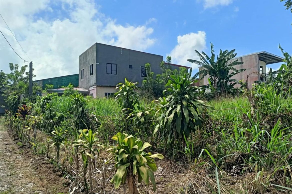 Land for Sale in Malabag, Silang, Cavite