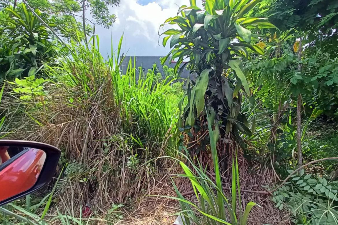 Land for Sale in Malabag, Silang, Cavite – photo 2