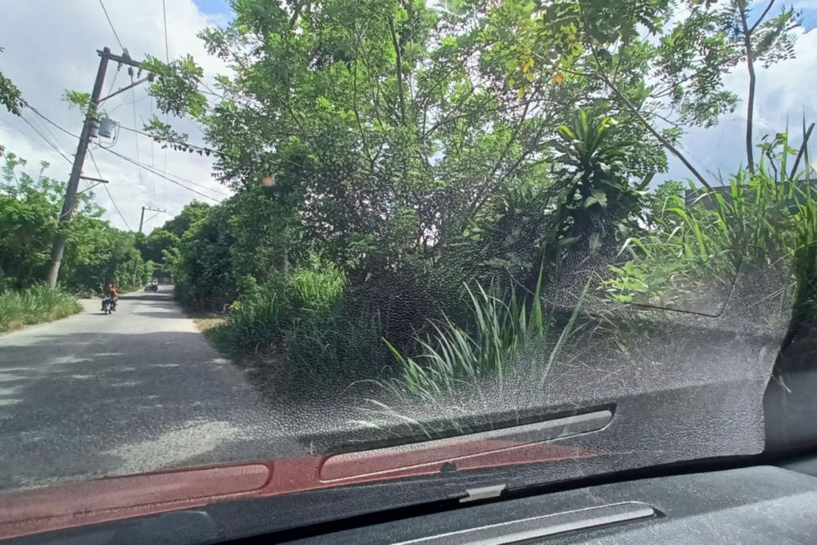 Land for Sale in Malabag, Silang, Cavite – photo 3