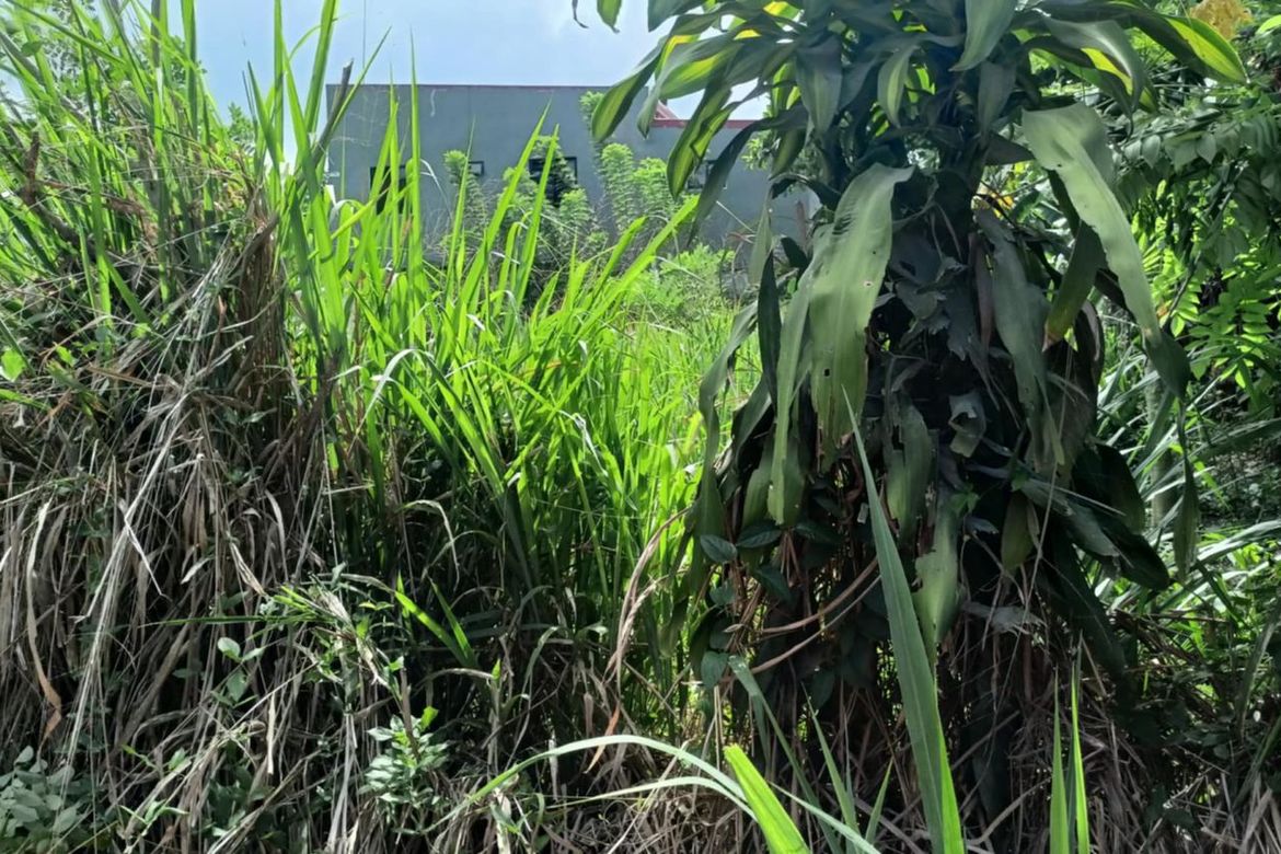 Land for Sale in Malabag, Silang, Cavite – photo 5
