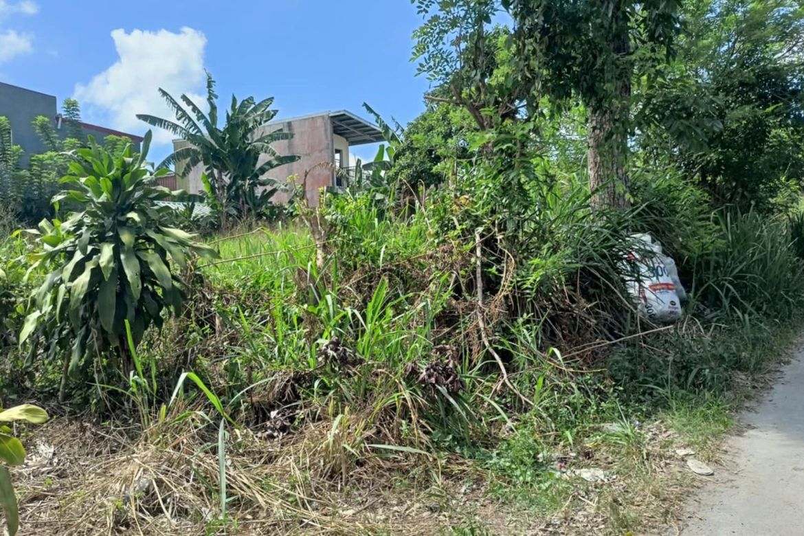 Land for Sale in Malabag, Silang, Cavite – photo 6