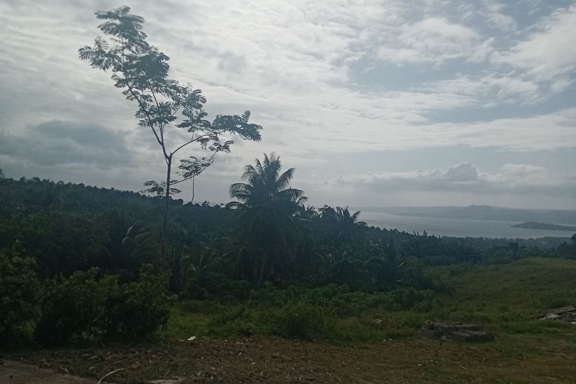 Land for Sale in Malabanan, Balete, Batangas – photo 2