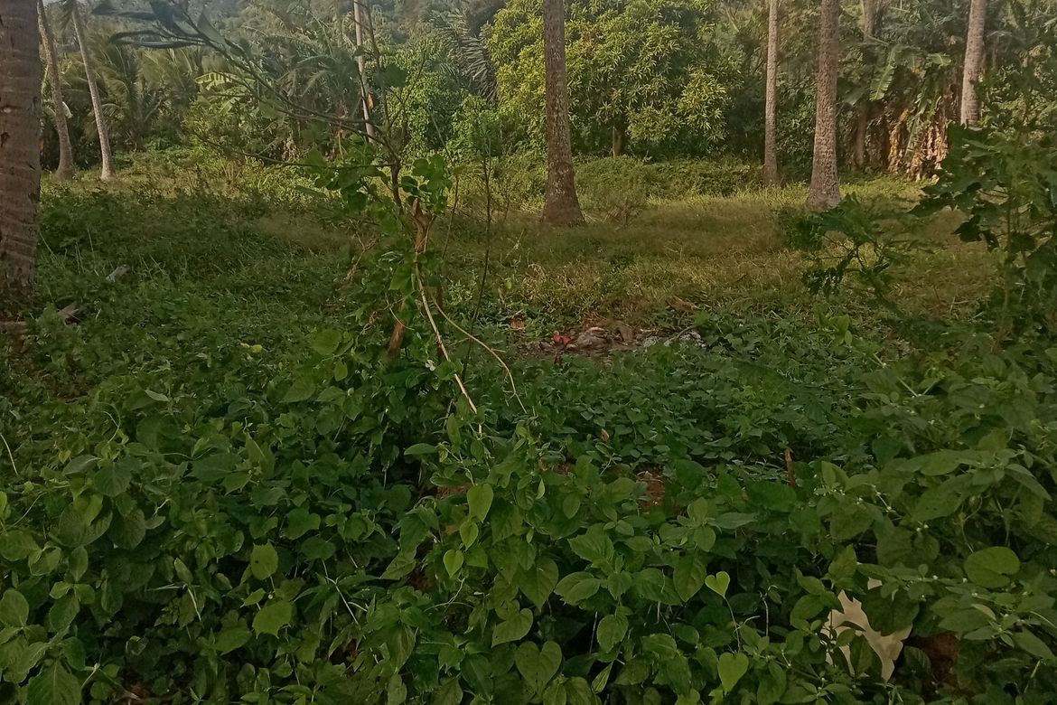 Land for Sale in Malabanan, Balete, Batangas – photo 4