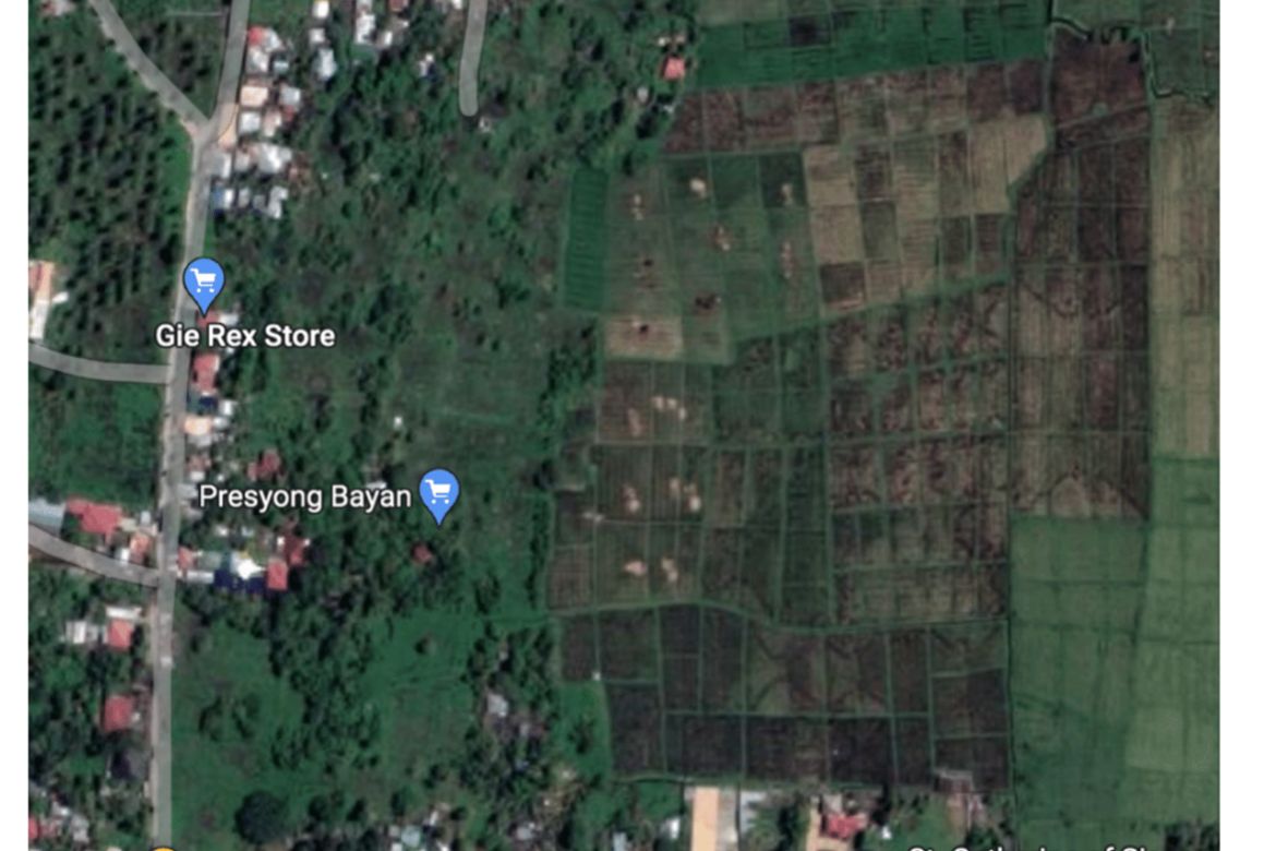 Land for Sale in Malabanban Norte, Candelaria, Quezon – photo 2