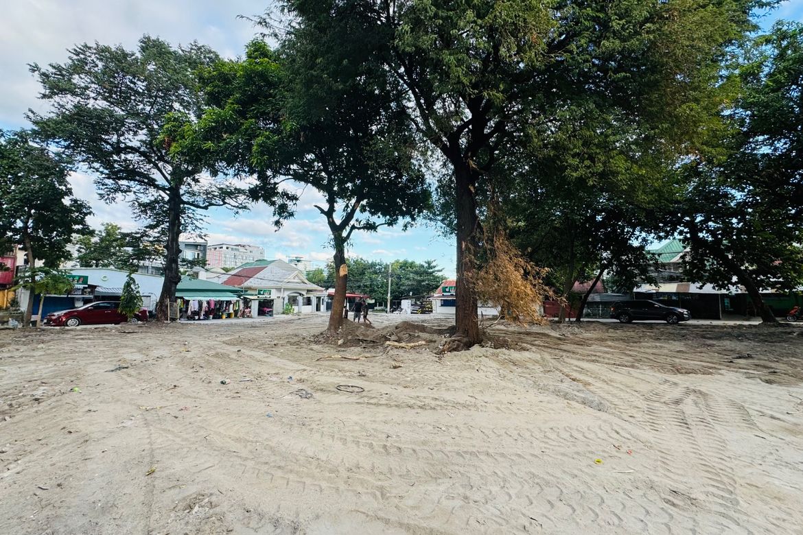Land for Sale in Malabanias, Angeles, Pampanga – photo 6