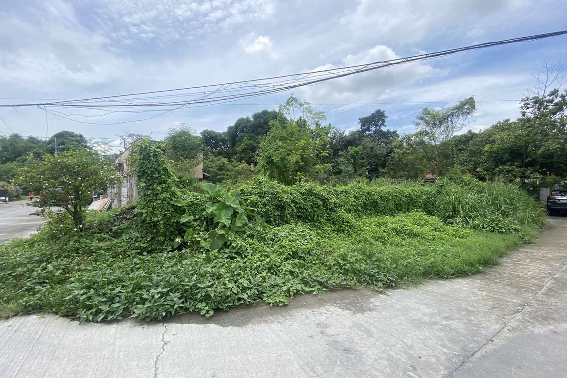 Land for Sale in Malabanias, Angeles, Pampanga